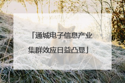 通城电子信息产业集群效应日益凸显